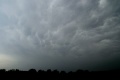 Eifelmammatus0507 020K.jpg